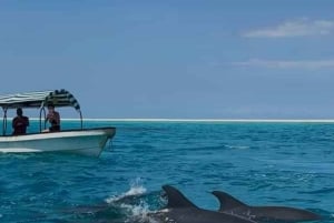 Mnemba Island Dolphins + Lunch, Spice Farm & Jozani Forest.
