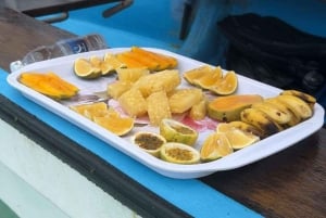 Mnemba Island Dolphins + Lunch, Spice Farm & Jozani Forest.