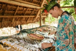 Mnemba Island Dolphins + Lunch, Spice Farm & Jozani Forest.