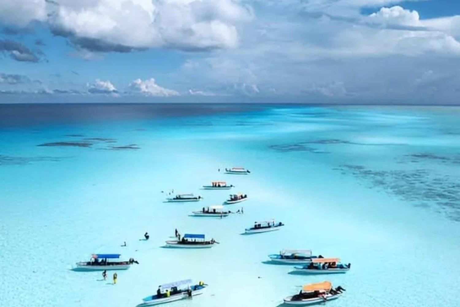 Mnemba Island: Delfiner och snorkling med gratis upphämtning