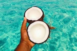 Isla de Mnemba: delfines y snorkel con recogida gratuita