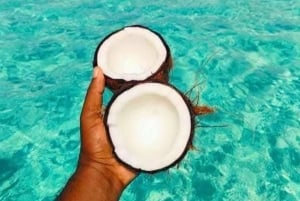 Mnemba Island: Delfiner och snorkling med gratis upphämtning