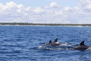 Excursión de un día a la isla de Mnemba con almuerzo a base de barbacoa y marisco