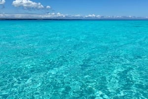Excursión de un día a la isla de Mnemba con almuerzo a base de barbacoa y marisco