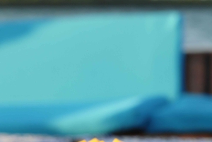 Excursión de un día a la isla de Mnemba con almuerzo a base de barbacoa y marisco