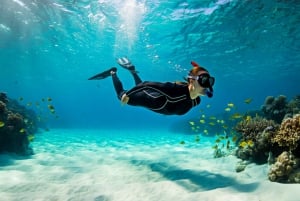 Mnemba Island: Guidet snorkling og delfinsvømning