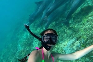 Mnemba Island: Guided Snorkeling & Dolphin Swim Experience