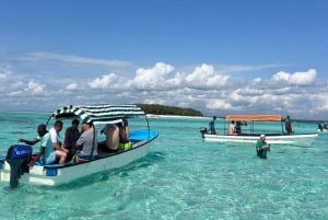 Mnemba-saari: Opastettu snorklaus ja delfiinien kanssa uiminen