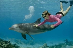 Zanzibar: mergulho com snorkel e natação com golfinhos na ilha privada de Mnemba