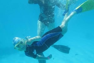 Mnemba-øya: Halvdagstur med svømming med delfiner og snorkling