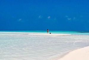 Mnemba Island, Jozani Forest, Starfish Adventure, The Rock