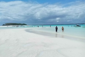 Mnemba: Svøm med delfiner og snorkel på koralrev