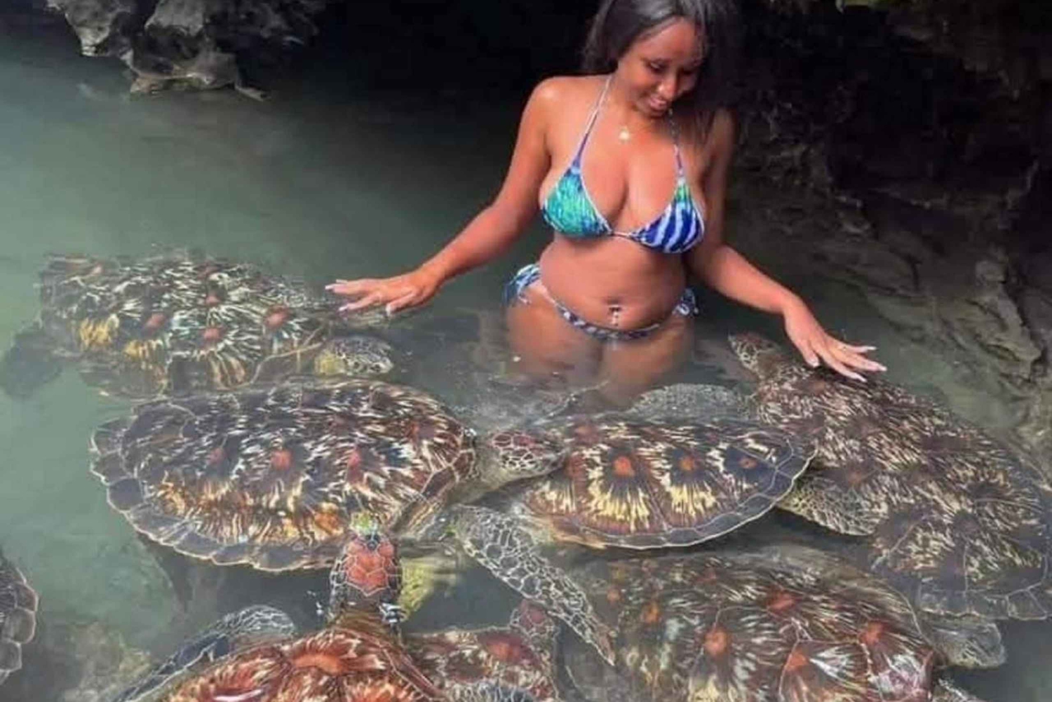 Mnemba Island Snorkeling, Sea Turtles & Jozani Forest