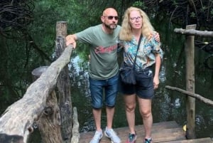 Mnemba Island Snorkeling, Sea Turtles & Jozani Forest