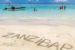 Mnemba Island Snorkeling, Sea Turtles & Jozani Forest