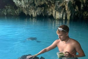 Mnemba Island Snorkeling, Sea Turtles & Jozani Forest