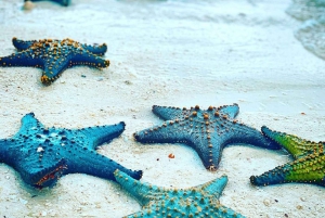 Mnemba Island, Starfish Adventure, The Rock, Kuza Cave Tour