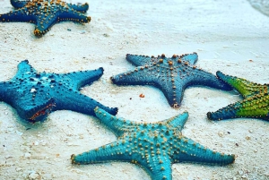 Mnemba Island, Starfish Adventure, The Rock, Kuza Cave Tour