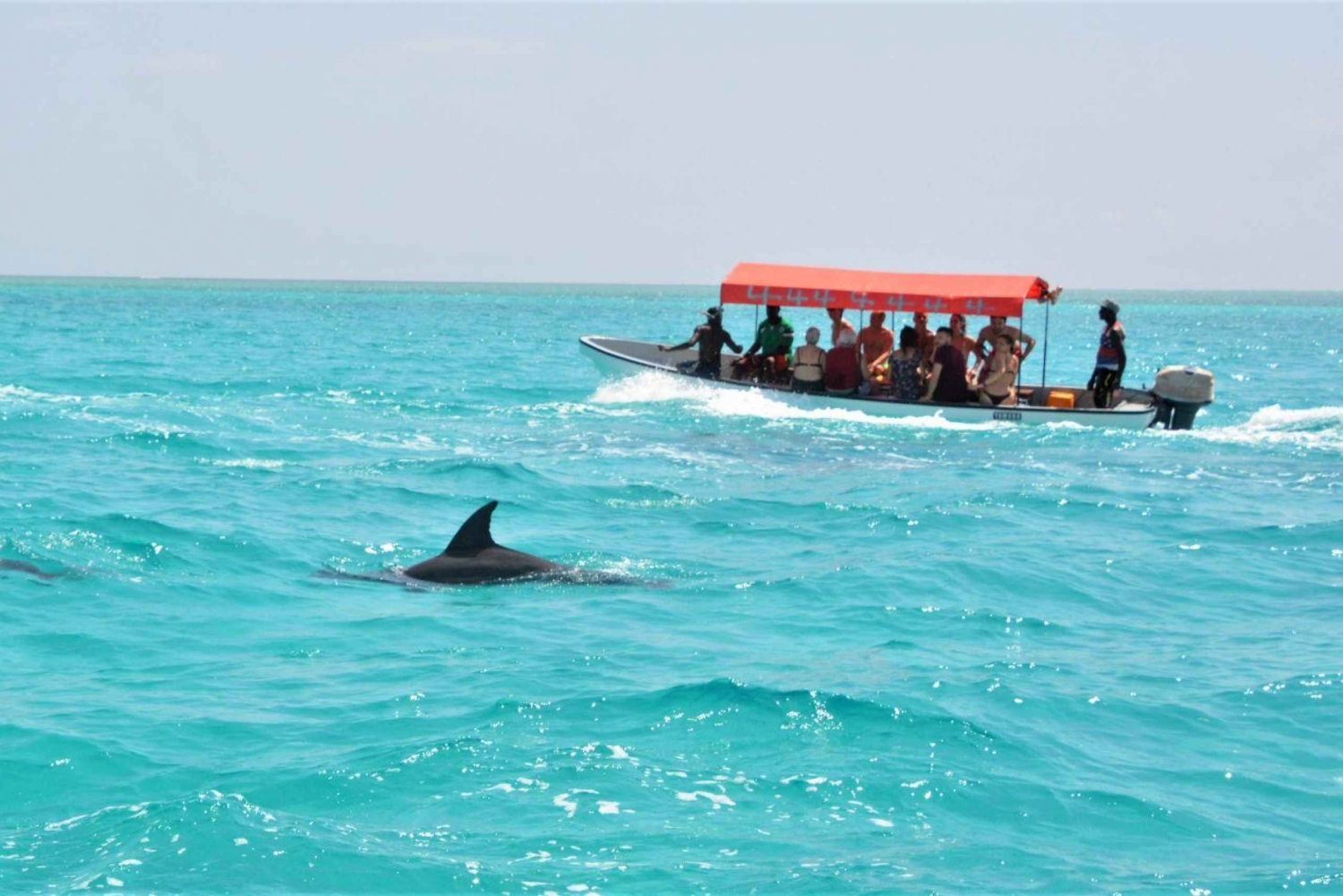 Mnemba Island Swim With Dolphins And Snokling