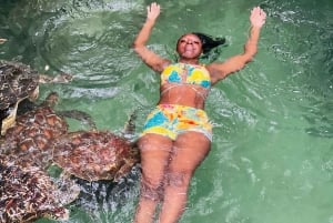 ヌングイのムネンバ島とカメと泳ぐ