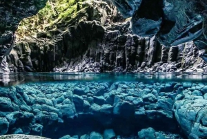Mnemba Island Tour, Jozani Forest Tour, The Rock, Kuza Cave