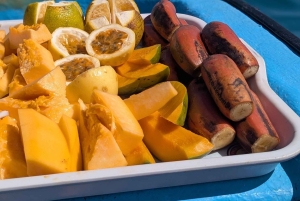 Viaje a la isla de Mnemba y snorkel con un guía local experto