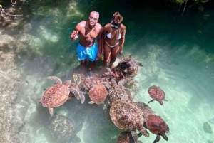 Mnemba Island with Turtle Aquarium and Sunset Cruise