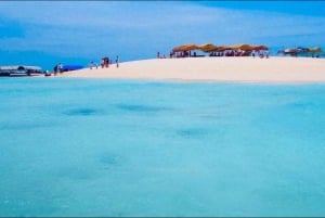 VANUIT NUNGWI; SNORKELEN EN DOLFIJNENTOUR OP MNEMBA