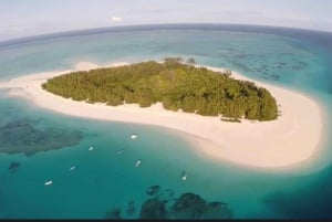 VANUIT NUNGWI; SNORKELEN EN DOLFIJNENTOUR OP MNEMBA