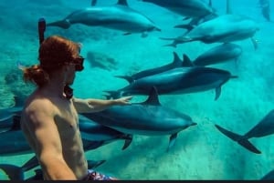VANUIT NUNGWI; SNORKELEN EN DOLFIJNENTOUR OP MNEMBA