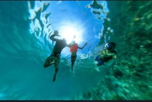 VANUIT NUNGWI; SNORKELEN EN DOLFIJNENTOUR OP MNEMBA