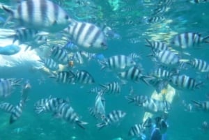 Zanzibar:Nuotare con le tartarughe nella grotta di Salaam