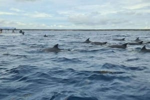 Zanzibar:Nuotare con le tartarughe nella grotta di Salaam