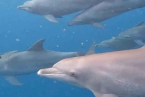 Zanzibar:Nuotare con le tartarughe nella grotta di Salaam