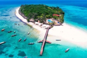Mnemba Dolphins Tour, Jozani Forest and The Rock Restaurant
