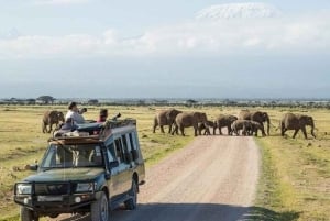 Mombasa: 6-päiväinen Tsavo West, Tsavo East ja Amboseli safari