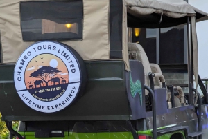 モロゴロ発：3日間 ニエレレ国立公園サファリ＆ボートツアー