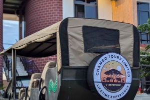 モロゴロ発：3日間 ニエレレ国立公園サファリ＆ボートツアー