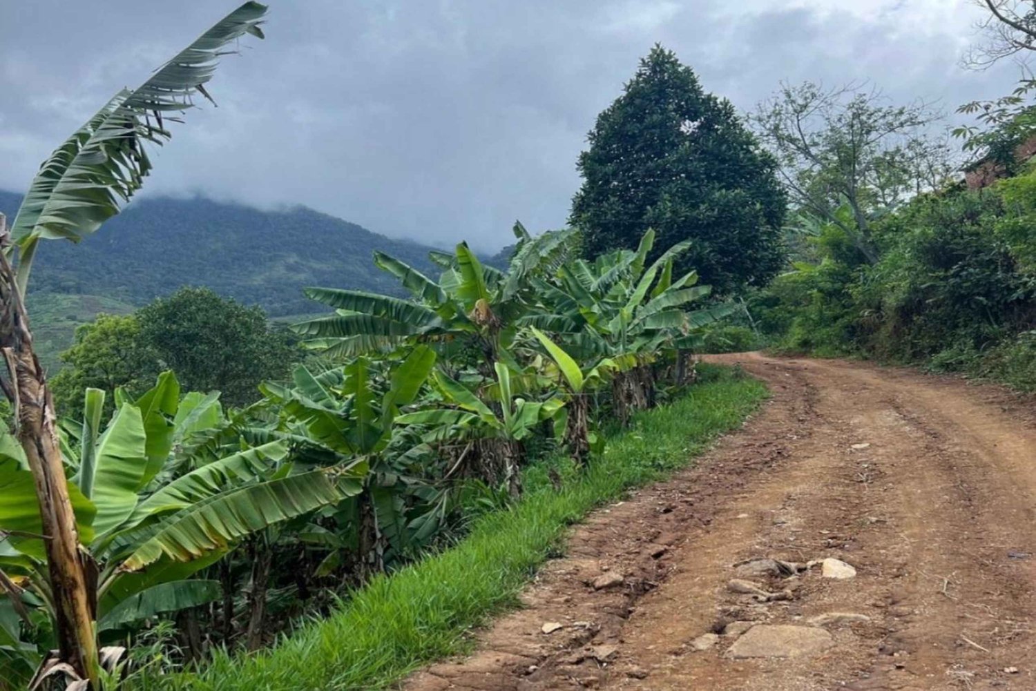 Morogoro: Choma Waterfall Hike with Lunch & Guide
