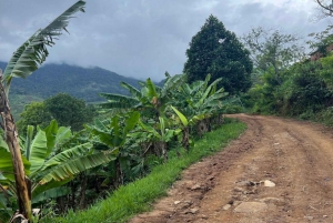 Zanzibar: Wycieczka „Pływanie z żółwiami w jaskini Salaam”