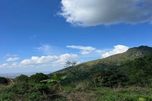 Zanzibar: Wycieczka „Pływanie z żółwiami w jaskini Salaam”