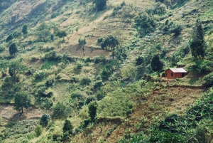 Morogoro: Uluguru Mountains Trek & Choma Waterfalls