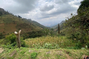 Morogoro: Uluguru Mountains Trek & Choma Waterfalls