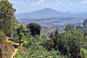 Morogoro: Uluguru Mountains Trek & Choma Waterfalls