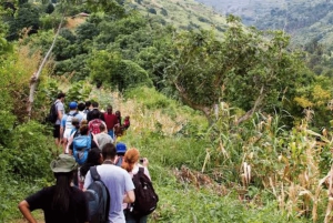 Morogoro: Uluguru Mountains Waterfalls Guided Hike