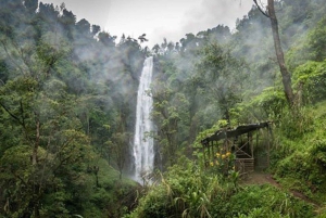 Mosh: 2-dagers tur til Materuni, kaffetur og Chemka Hotspring