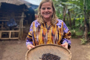 Mosh: 2-dagers tur til Materuni, kaffetur og Chemka Hotspring