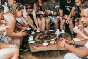 Mosh: 2-dagers tur til Materuni, kaffetur og Chemka Hotspring