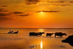 Moshi: 2-dagers safari til Lake Manyara og Ngorongoro med overnatting