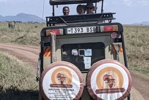 Moshi: 2-dagers safari til Lake Manyara og Ngorongoro med overnatting